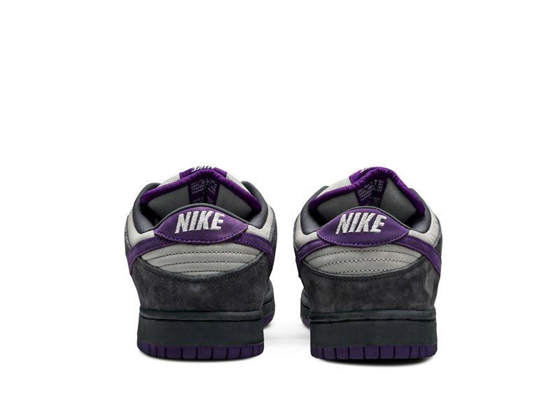 "Purple Pigeon"