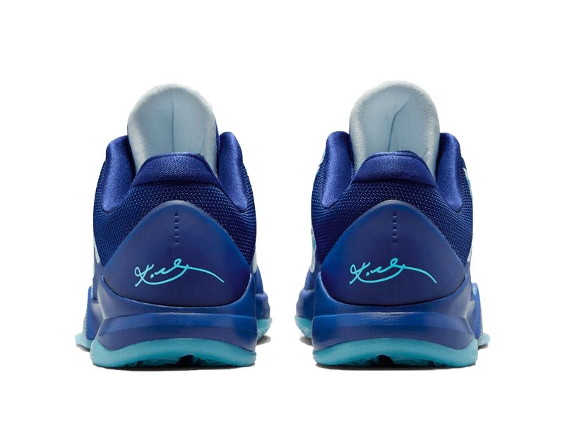 "X-Ray"